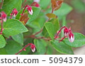 Akamono Oze-Numazan Pass 5094379