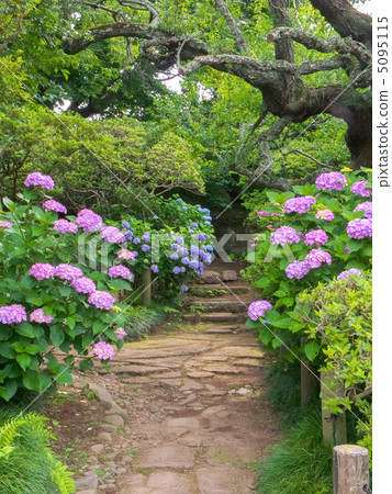 繡球花胡同（垂直切割） 5095115