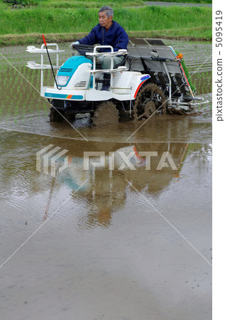 Rice planting landscape 5095419
