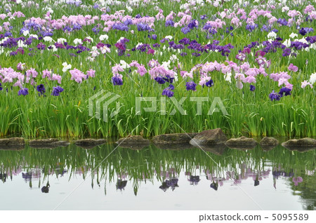 多雨噴泉水Tsukigetsuen(縣立相模原公園) 多雨噴泉水Tsukigetsuen(縣立相模原公園) 5095589