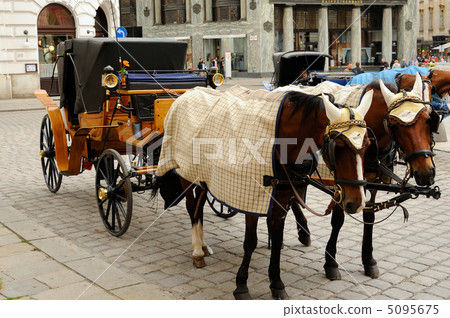 奧地利觀光馬車 奧地利觀光馬車 5095675