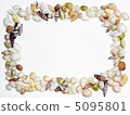 Seashell frame 5095801