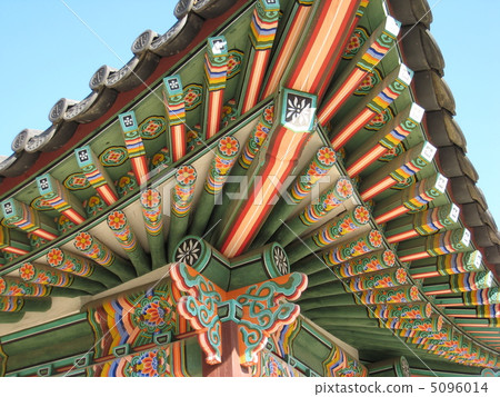 孔雀屋頂 5096014