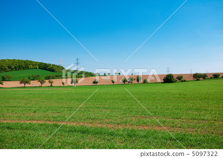 meadow and power line against the blue sky meadow and power line against the blue sky 5097322