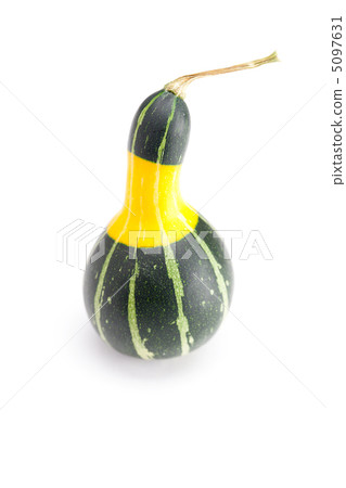 yellow green china pumpkin isolated on white yellow green china pumpkin isolated on white 5097631