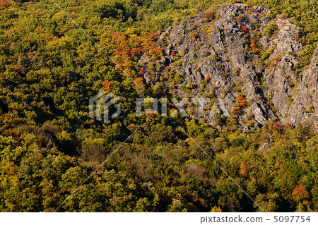 trees on the background of the hillside 5097754