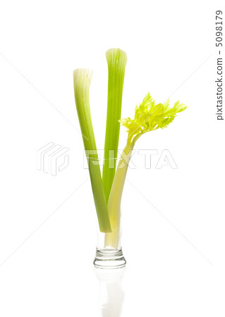celery in a tall glass isolated on white celery in a tall glass isolated on white 5098179