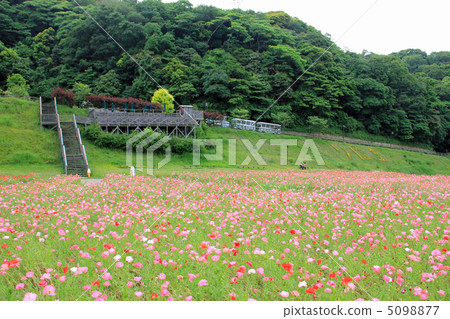 花園 花園 5098877