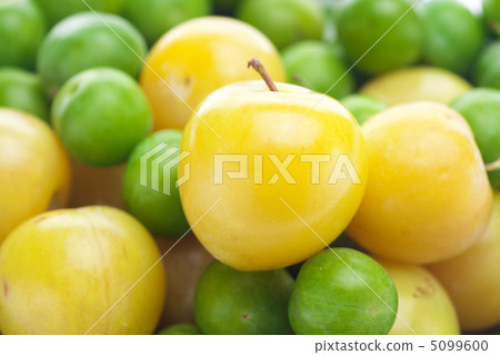 background of green and yellow plum background of green and yellow plum 5099600