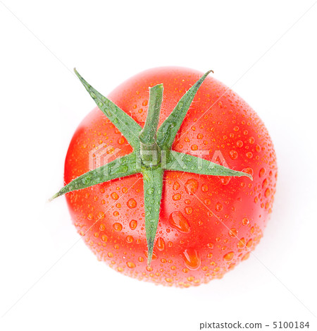 tomato with water drops isolated on white tomato with water drops isolated on white 5100184