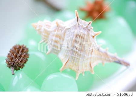 夏天的形象 5100653