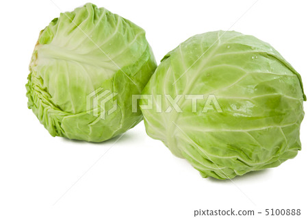 Green cabbage isolated Green cabbage isolated 5100888