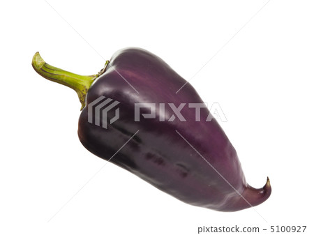 Purple peppers isolated 5100927