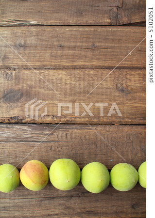 Unripe Nanko plums grown without pesticides lined up in a row Unripe Nanko plums grown without pesticides lined up in a row 5102051