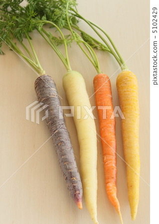 蔬菜carroful 5102429