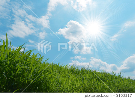 Sunlight (photographic processing) 5103317