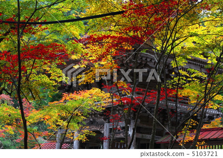 Otada寺廟秋葉 5103721
