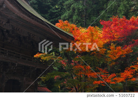 Autumn leaves of Otada shrine 5103722
