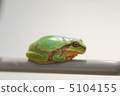 Frog break 5104155