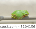 Frogs break 5104156
