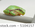 Frogs break 5104157