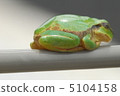 Frogs break 5104158