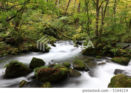 Flow of Oirase stream / Asura 5104214