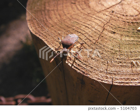 Bug 5104703