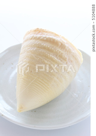 Shredded bamboo shoots Shredded bamboo shoots 5104888