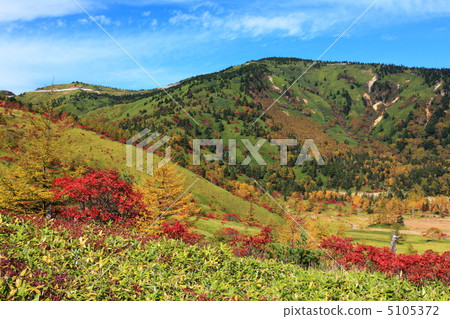 Autumn leaves of Kusatsu Shiraneyama Yoshigira 5105372