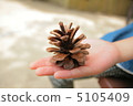 Pinecone 5105409