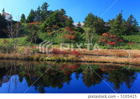 Autumn leaves of Kusatsu Shiraneyama Yoshigei Mire 5105425