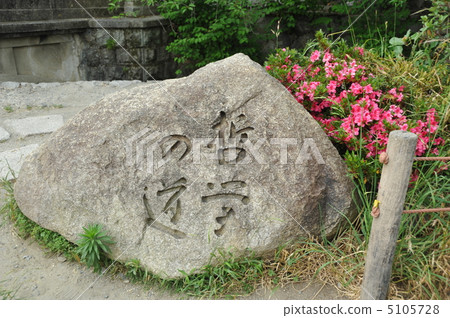 Kyoto philosophy road Kyoto philosophy road 5105728