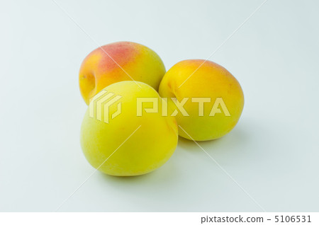 Minami Takane 5106531