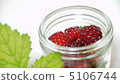 覆盆子 5106744