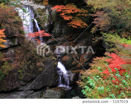 Mitaraki Valley of autumn leaves 5107019