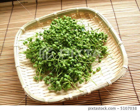 種植水果和胡椒 5107038