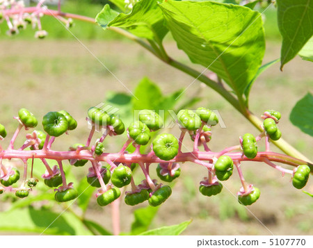 山區鄉房 5107770