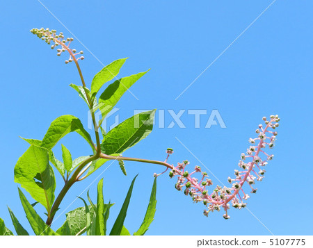 山區鄉房 5107775