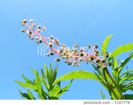 山區鄉房 山區鄉房 5107776