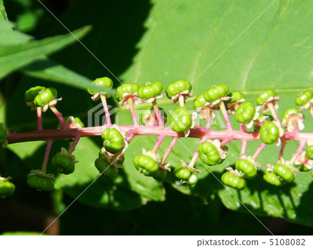山區鄉房 5108082