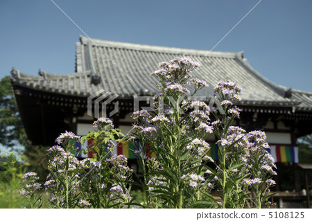 奈良Rikuji寺廟錫永 5108125