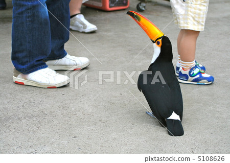 I'm going to be an anonymous machine 5108626