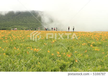 Yununuma Yununuma 5108787