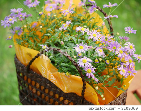 Brachikam's wrapping arrangement (horizontal image) Brachikam's wrapping arrangement (horizontal image) 5109369