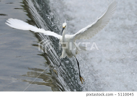 跳轉 跳轉 5110045