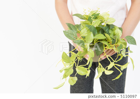 抱著觀葉植物 5110097