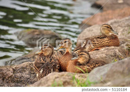 兄弟們放鬆身心 5110184