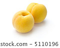 桃子 5110196