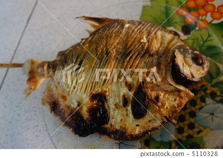 Fish of the Amazon 5110328